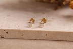 Titanium Internal Threaded Pear CZ Starburst Flat Back Earrings