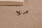 Titanium Threadless Curved Marquise Leaf  Vine Stud