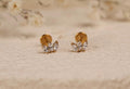 16G/18G/20G Titanium Triple Marquise Flat Back Stud, CZ Marquise Cartilage Earrings, Threadless Helix Stud, Minimal Tragus Earring N152