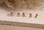 Nature-Inspired Titanium Push Pin Flat Back Studs