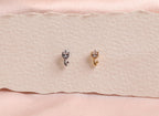 16G/18G Titanium Pear-Cut Tulip Stud Earring – Internally Threaded Flat BackHelix , Cartilage Tragus Lobe Earrings N194