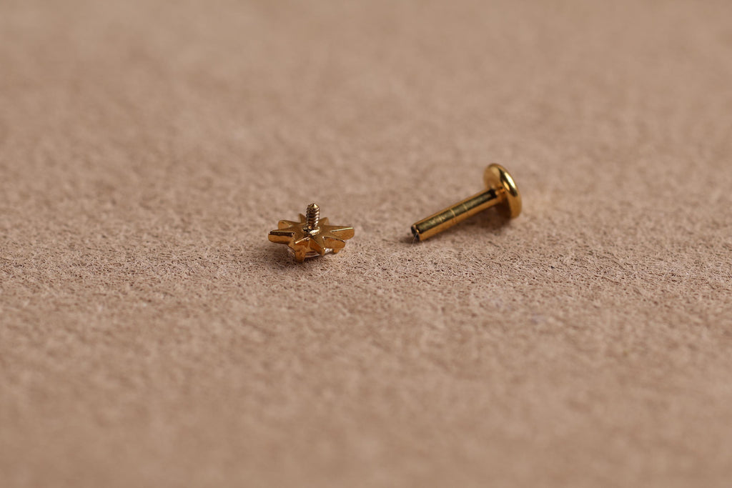 Titanium Internal Threaded Pear Crystal Sunburst Stud