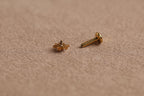 Titanium Internal Threaded Pear Crystal Sunburst Stud