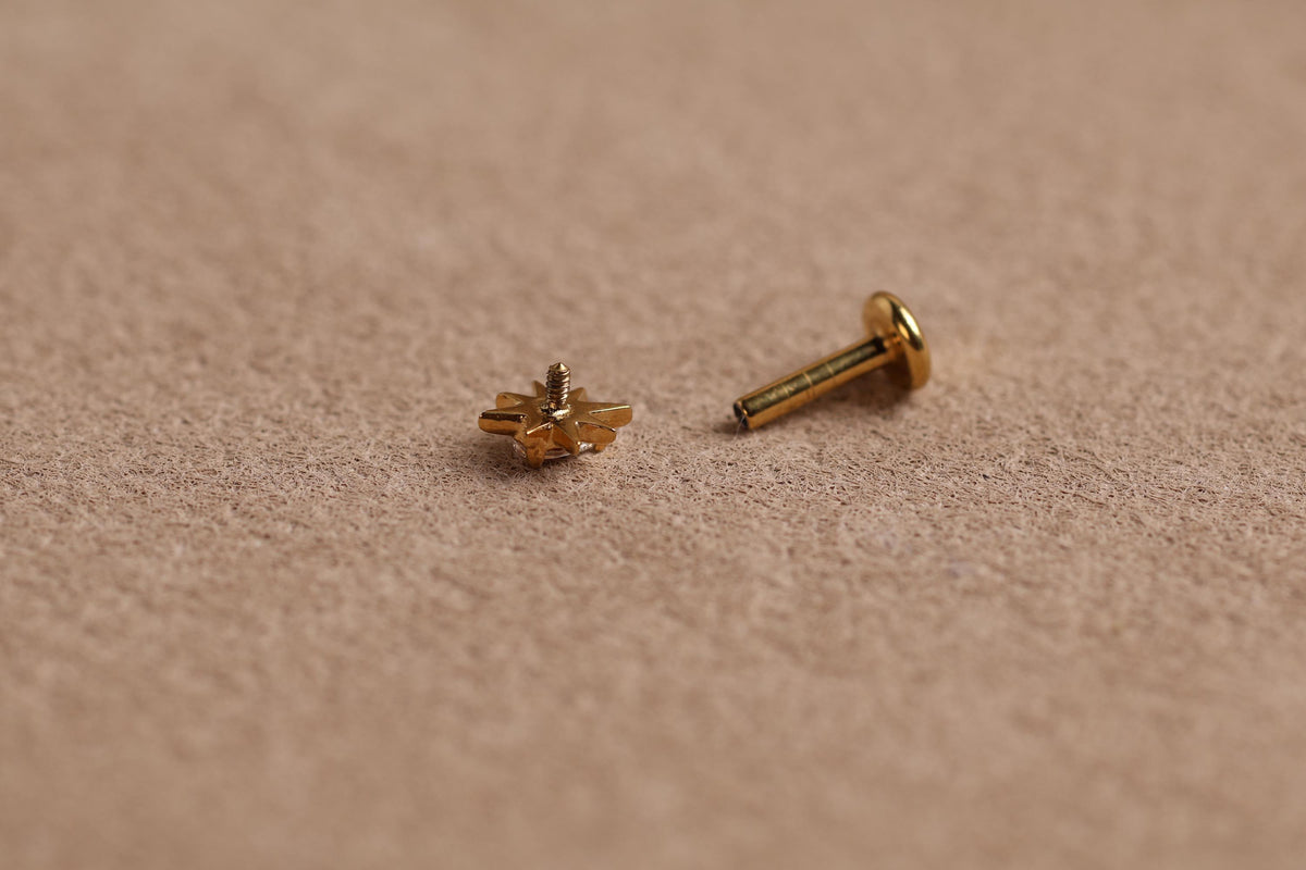 Titanium Internal Threaded Pear Crystal Sunburst Stud