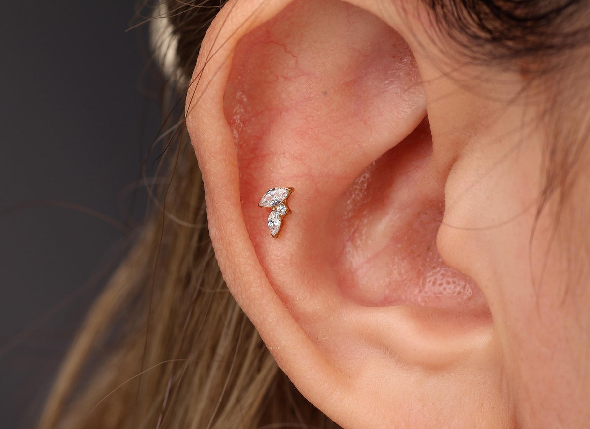 16G/18G Titanium Duo Marquise Leaf Stud Earring – Internally Threaded Cartilage Jewelry, Helix Tragus Lobe N193
