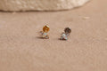 16G/18G Titanium Marquise Opal Trio Stud Earring – Internally Threaded Flat Back , Cartilage Tragus Lobe Earrings N195