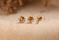 16G/18G/20G Titanium Secret Garden Threadless Earring Set,  Marquise Flat Back Stud, Helix Conch Tragus Stud, Earring Gift Set, S108