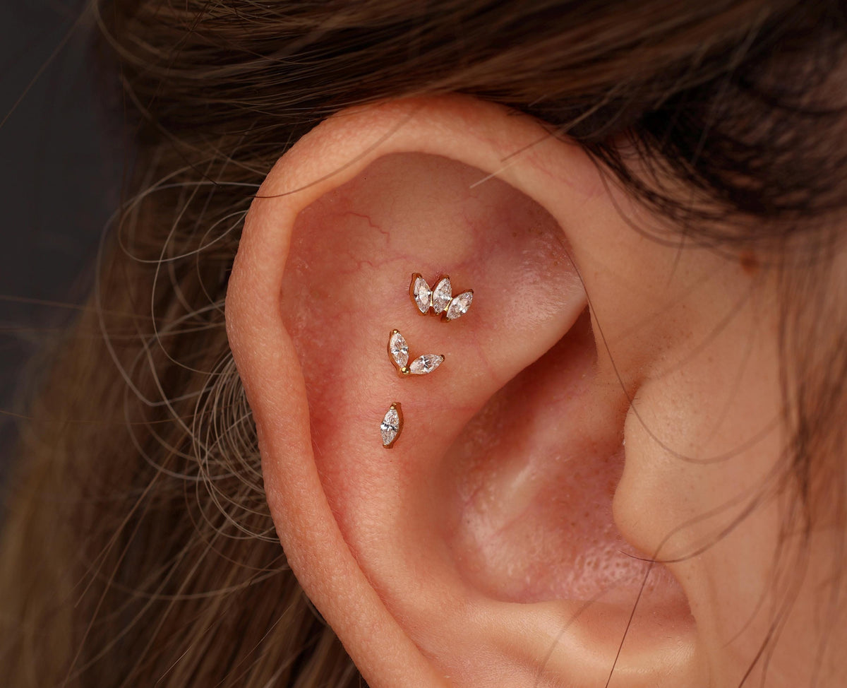 16G/18G/20G Titanium Secret Garden Threadless Earring Set,  Marquise Flat Back Stud, Helix Conch Tragus Stud, Earring Gift Set, S108